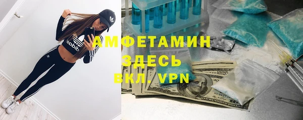 сатива Надым