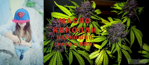 сатива Надым