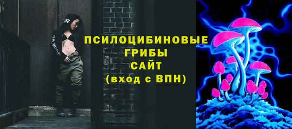 сатива Надым